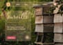 create user friendly and visually engaging UI UX designs